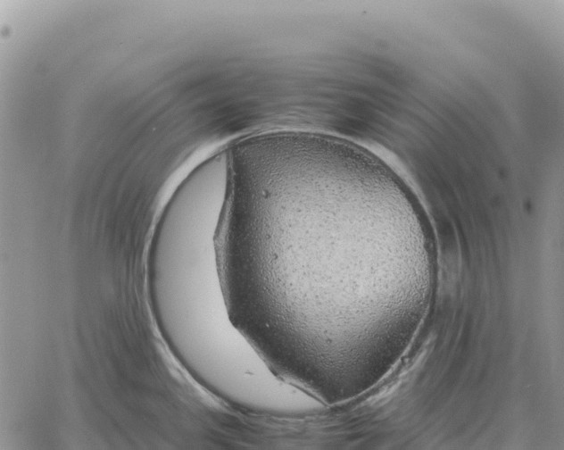 X0000061111341200512091807