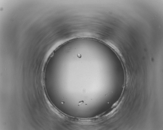 X0000061111342200512091807