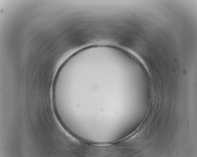 X0000061111343200512091807