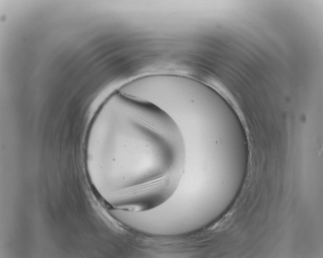 X0000061111344200512091807