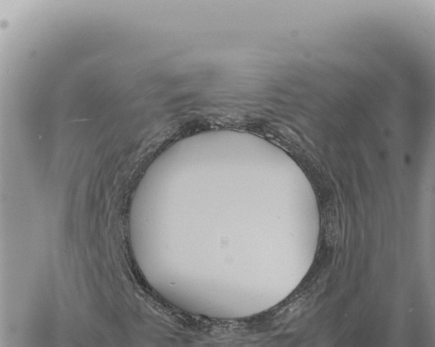 X0000061111345200512091807