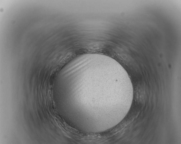 X0000061111346200512091807