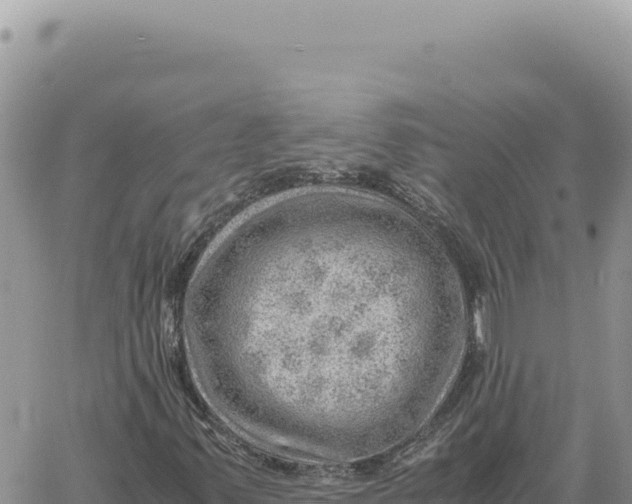 X0000061111347200512091807