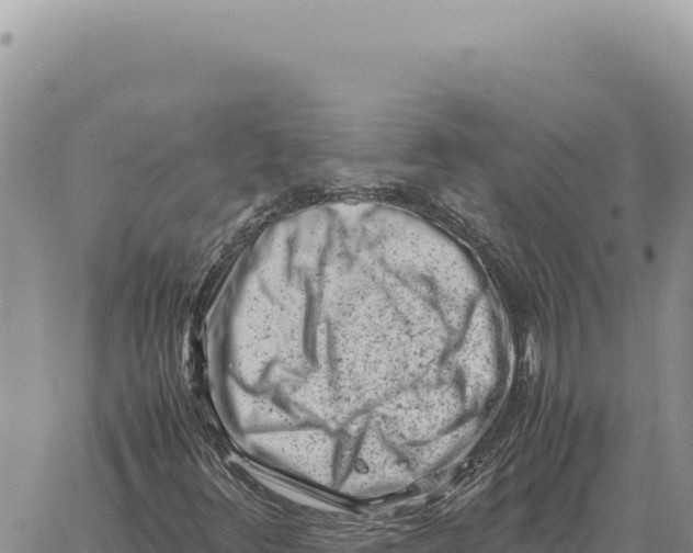 X0000061111348200512091806