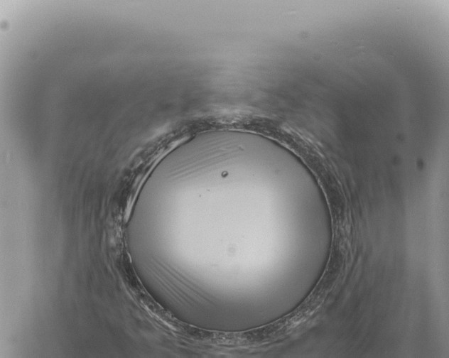 X0000061111349200512091806