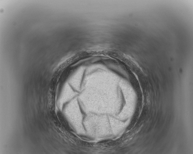 X0000061111350200512091806