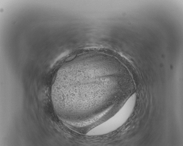 X0000061111351200512091806