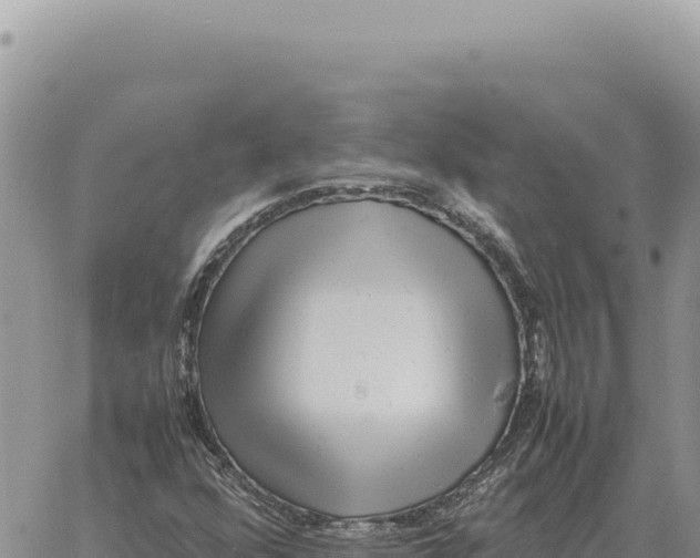 X0000061111352200512091806