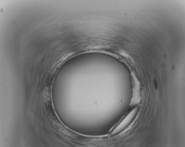 X0000061111353200512091806