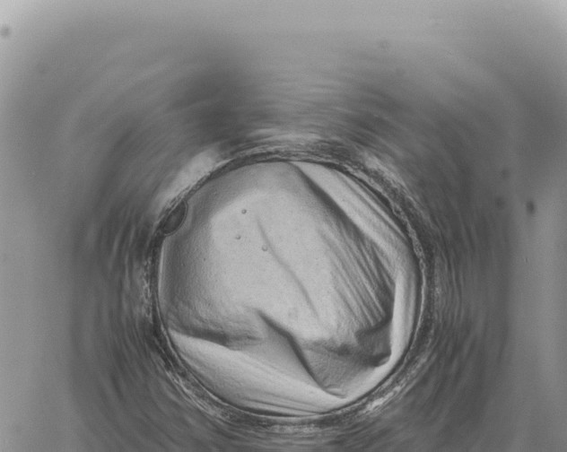 X0000061111354200512091806