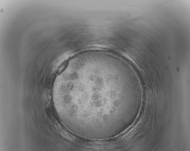 X0000061111355200512091806