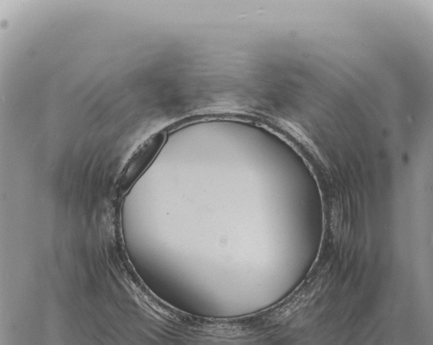 X0000061111356200512091806