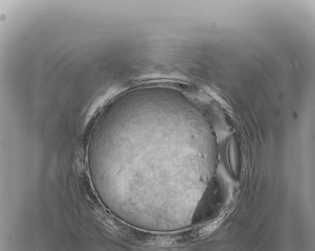 X0000061111357200512091806