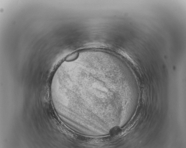 X0000061111358200512091806