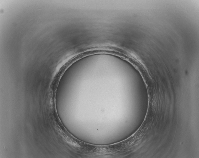 X0000061111360200512091806