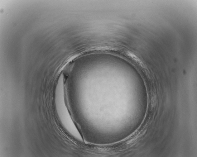 X0000061111361200512091806