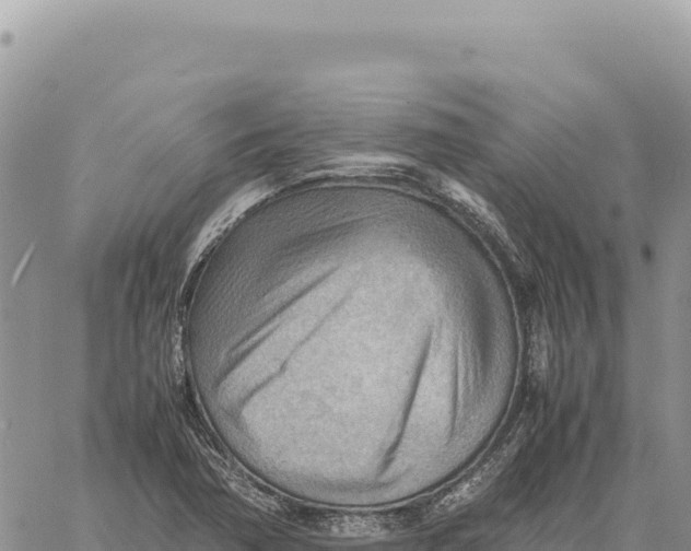 X0000061111362200512091806