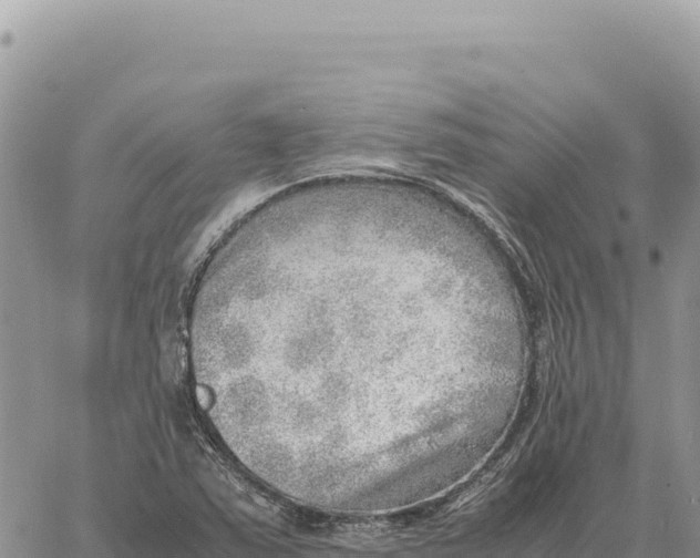 X0000061111363200512091806