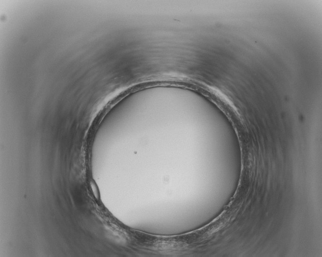 X0000061111364200512091806