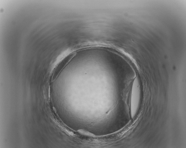 X0000061111365200512091806