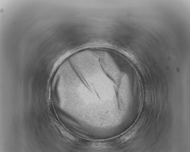 X0000061111366200512091806