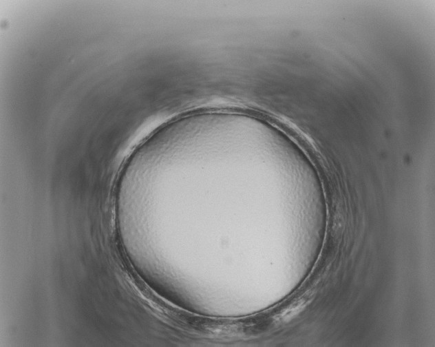 X0000061111367200512091806