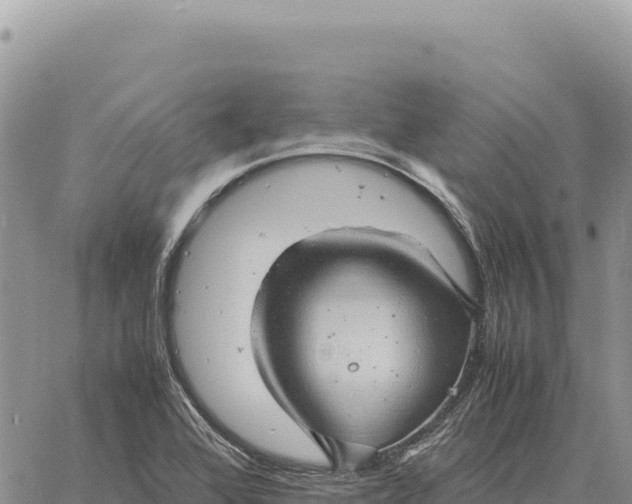 X0000061111368200512091806