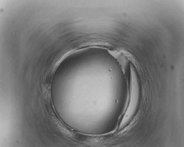 X0000061111369200512091806