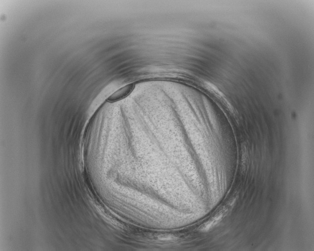 X0000061111370200512091806