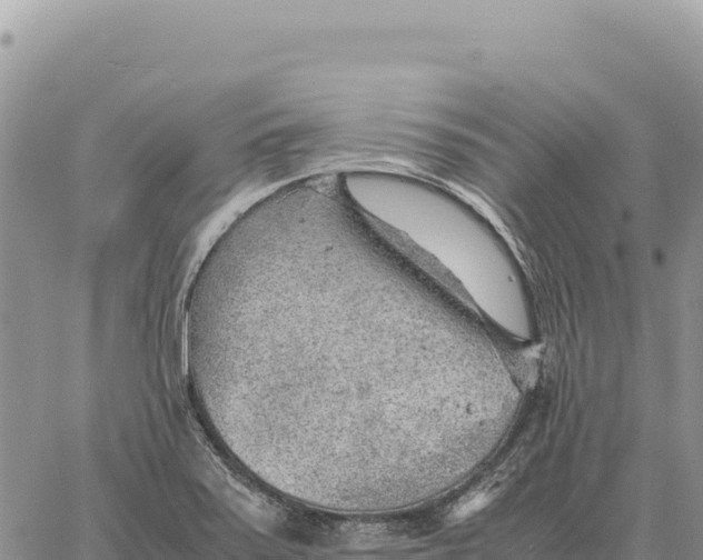 X0000061111371200512091806