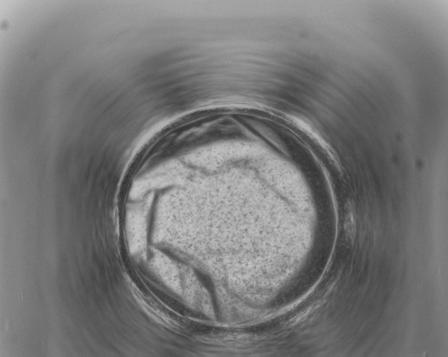 X0000061111372200512091806