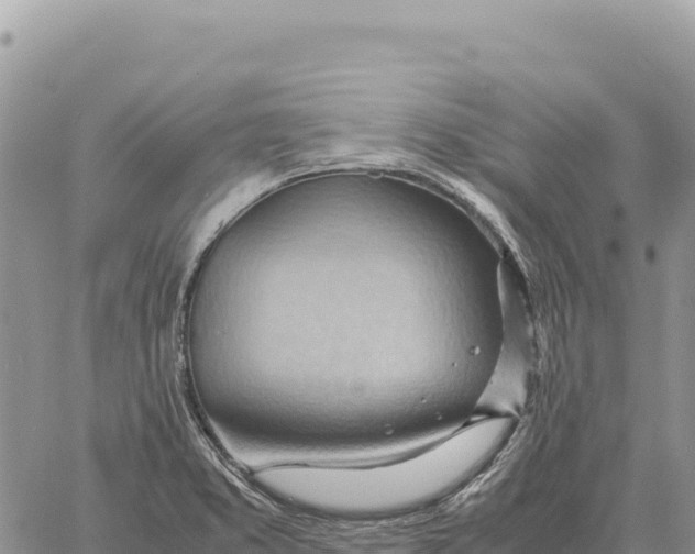 X0000061111373200512091806