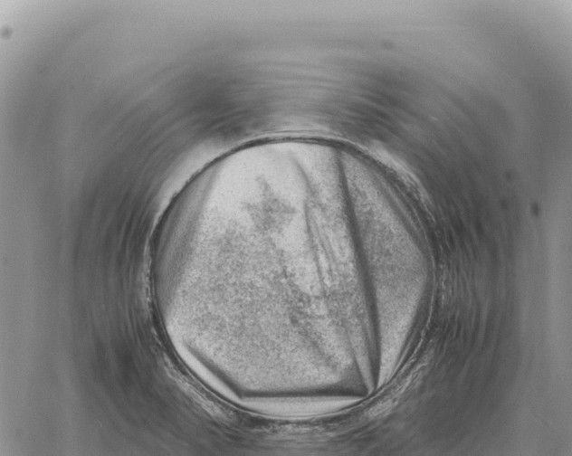 X0000061111374200512091806