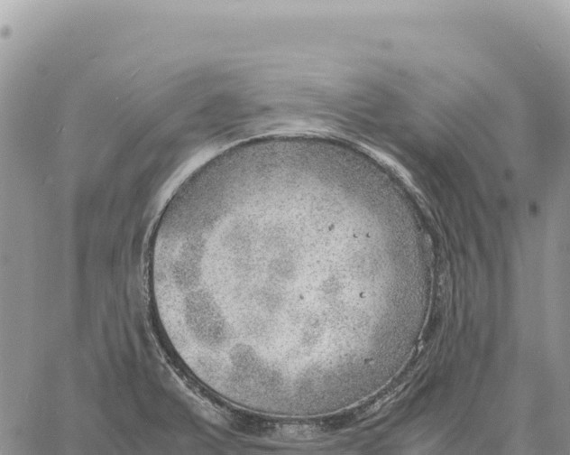 X0000061111375200512091806