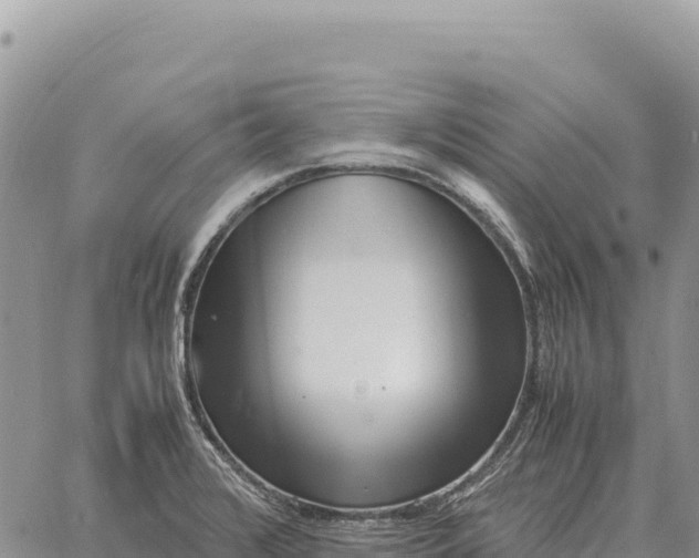 X0000061111376200512091806