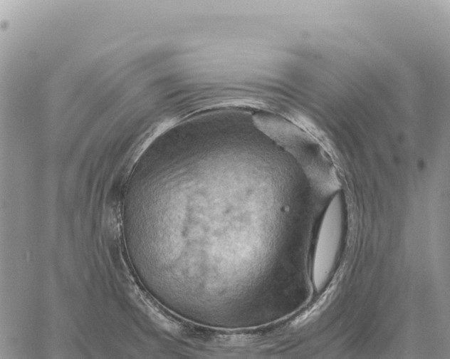 X0000061111377200512091806