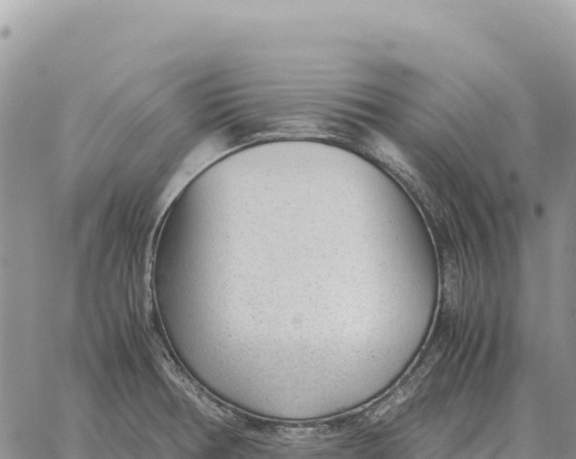 X0000061111378200512091806