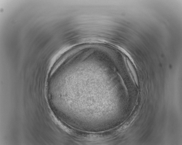 X0000061111379200512091806