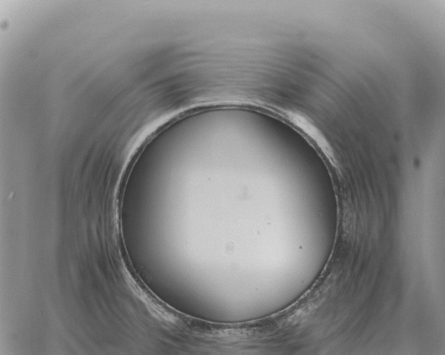 X0000061111380200512091806