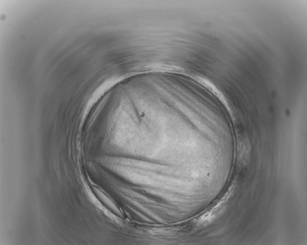 X0000061111381200512091806