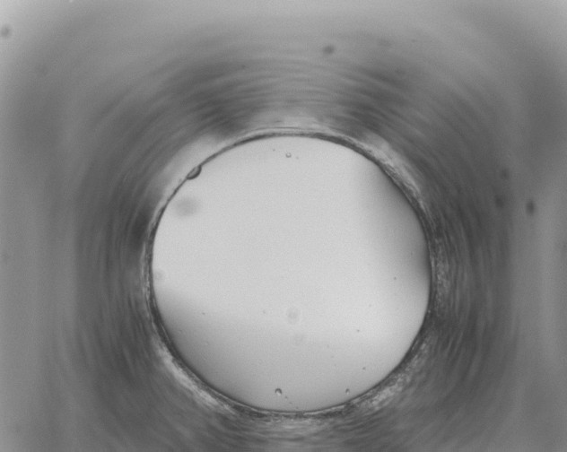 X0000061111382200512091806