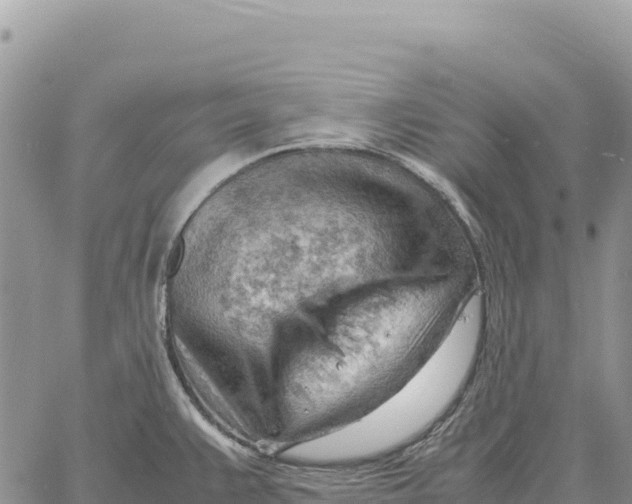 X0000061111383200512091806