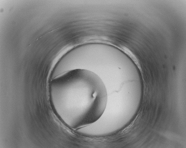 X0000061111384200512091806