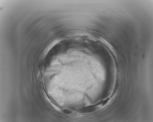 X0000061111385200512091806