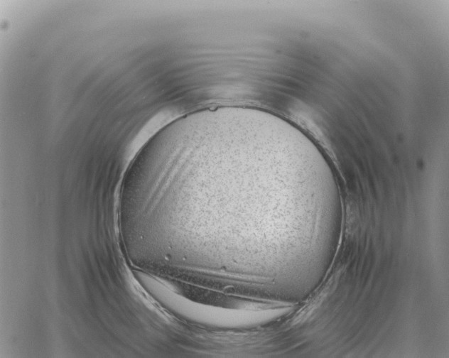 X0000061111386200512091806