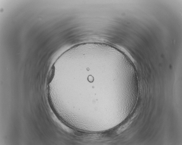 X0000061111387200512091806