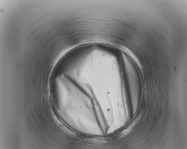 X0000061111388200512091806