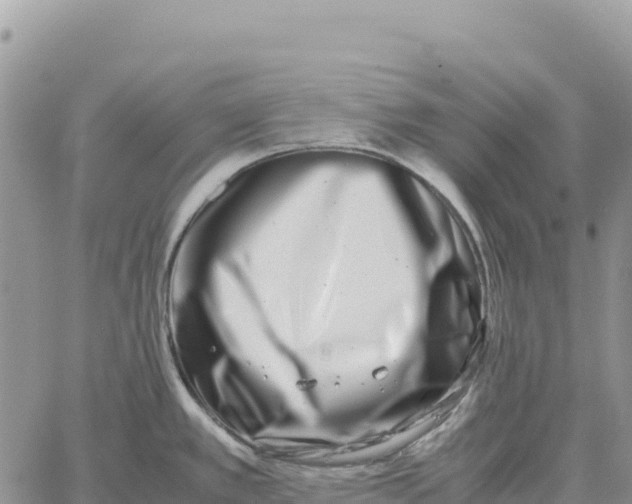 X0000061111389200512091806