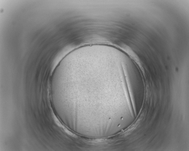 X0000061111390200512091806