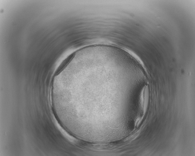 X0000061111391200512091806